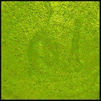 Key Lime, 15ml Jar, Primary Elements Arte-Pigment